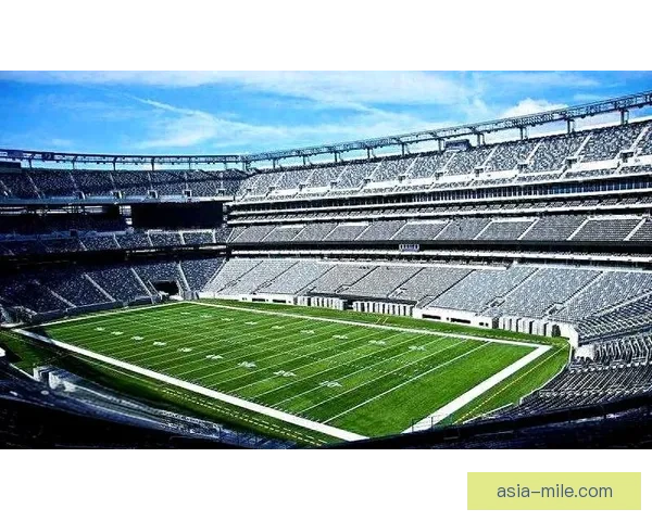 2026世界杯决赛场地大都会体育场将进行30天草坪封闭养护工作